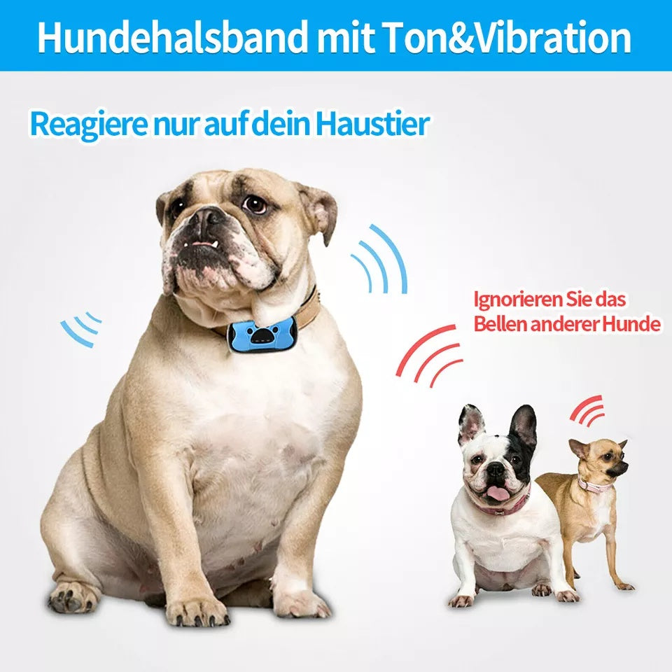 Anti-Glockenhalsband, Hundetrainingshalsband, Tonvibration